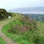 Greenock Cut