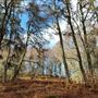 Birks of Aberfeldy/ Falls of Moness