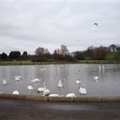 Barshaw Park