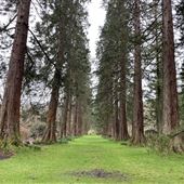 Benmore Gardens