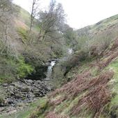 Campsie Glen (upper waterfall)