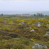 Hill o' Many Stanes