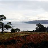 Kyles of Bute