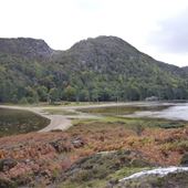Lochshiel Estate