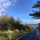 Carman Road