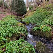 Glen Burn