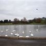 Barshaw Park