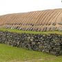 Arnol Blackhouse