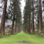 Benmore Gardens