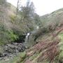 Campsie Glen (upper waterfall)