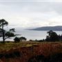Kyles of Bute