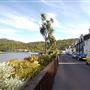 Plockton