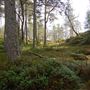 Strathmashie