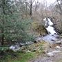 Achray Forest Waterfall