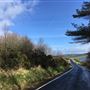 Carman Road