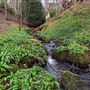 Glen Burn
