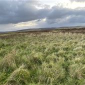 Lands of Vola