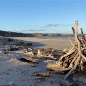 St Cyrus Beach