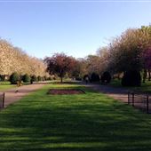 Alexandra Park