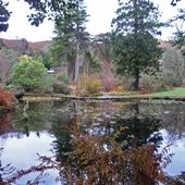 Arduaine Garden