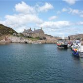 Cove Harbour, Cottages and Tunnel