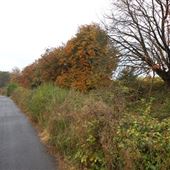 Dams to Darnley Country Park Reservoir Walk