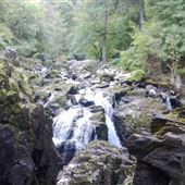 The Hermitage