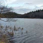 Lochan Spling