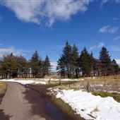 Sheriffmuir