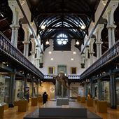Hunterian Museum