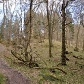 Fairy Knowe