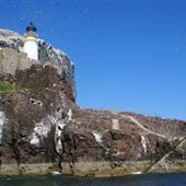 Bass Rock Lighthouse