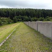 Carron Valley Forest