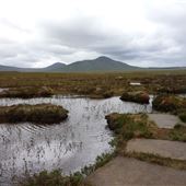 Forsinard Flows Nature Reserve and Lookout