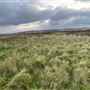 Lands of Vola