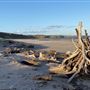St Cyrus Beach