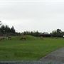 Blair Drummond Safari Park