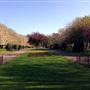 Alexandra Park