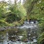 Calderglen Country Park