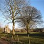 Castle Semple Collegiate Church
