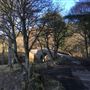 Old Manor Brig