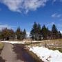 Sheriffmuir