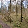 Fairy Knowe