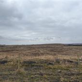 Damside Opencast Site