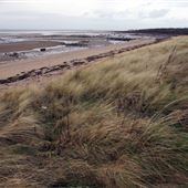 Aberlady Bay