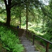 Crarae Glen Garden