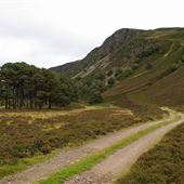 Glen Feshie