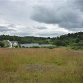 Carbeth Loch