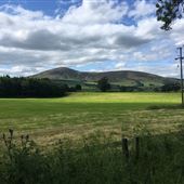Tinto Hill