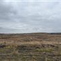 Damside Opencast Site